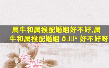属牛和属猴配婚姻好不好,属牛和属猴配婚姻 🌺 好不好呀